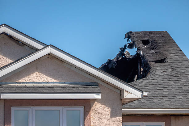 Top rated local Fire Damage Repair specialists in Trenton, NJ